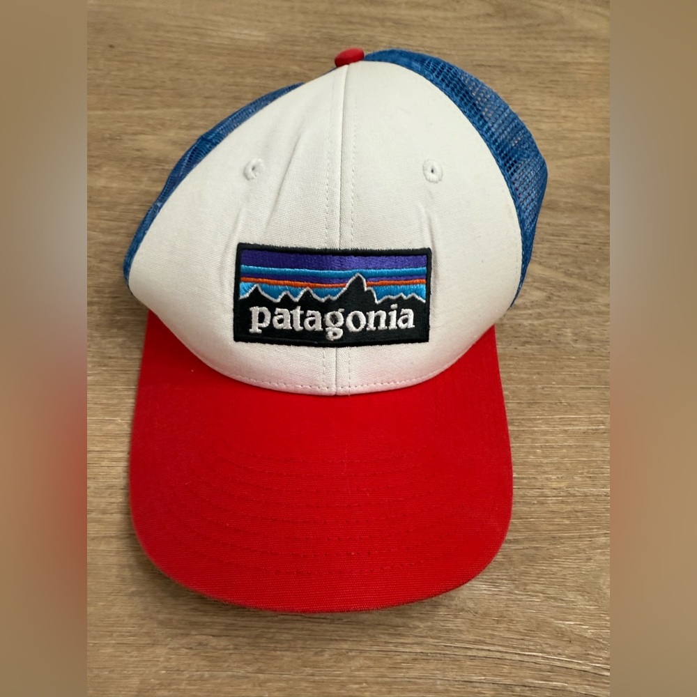 Patagonia trucker hat